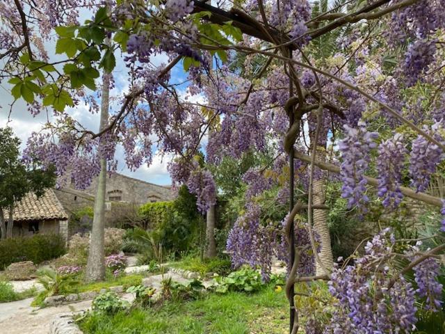 B&B Etico La Casa Di Toti Modica Bagian luar foto